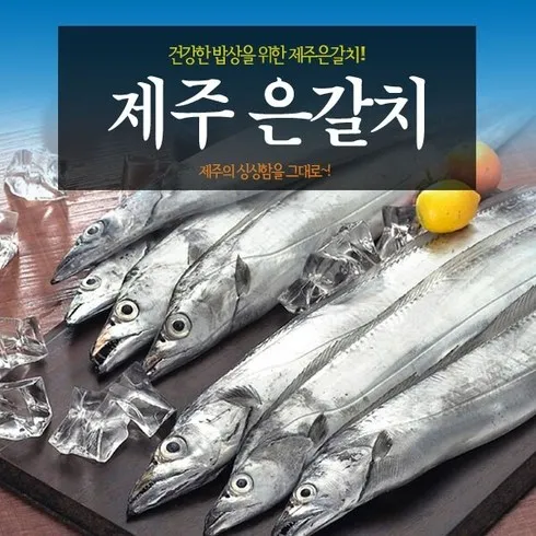 제주 은갈치 150g30미 재입고 알림