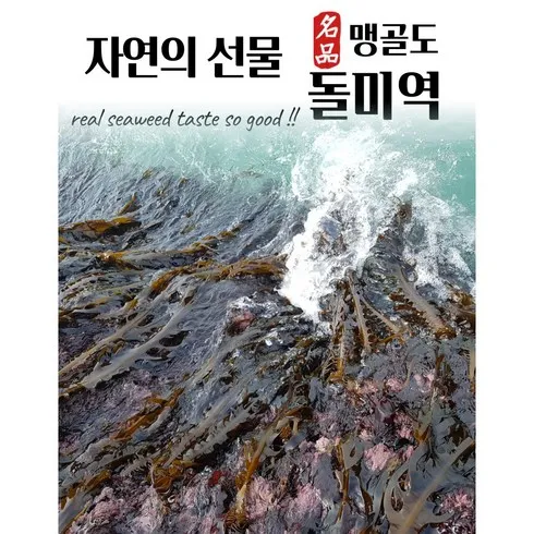 자연산돌미역 신상추천